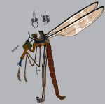  ambiguous_gender antennae_(anatomy) anthro arthropod clothing crane_fly cupic duo hat headgear headwear hi_res multi_limb riding_on_back saddle tongue tongue_out wings 