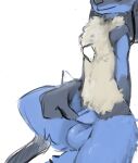  animal_genitalia anthro balls chest_spike fully_sheathed fur generation_4_pokemon genitals hi_res lucario male mindkog nintendo pokemon pokemon_(species) sheath simple_background solo spikes spikes_(anatomy) white_background 