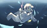  anthro belly bottomwear canid canine canis clothing domestic_dog eyewear fur goggles hi_res male mammal moobs navel nipples noting41097245 overweight shorts snorkel solo swimming tajima_(tamacolle) tamacolle underwater water white_body white_fur 