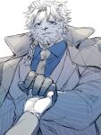  1boy ambiguous_gender animal_ears astosis_(live_a_hero) bara blue_shirt braid coat commentary_request furry furry_male furry_with_non-furry gloves hagiography highres holding_hands interspecies lion_boy lion_ears live_a_hero looking_at_viewer necktie shirt white_background 