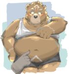  anthro bear belly blush bottomwear brown_body brown_fur clothed clothing clothing_lift crave_saga duo eyebrows fur gabu_(crave_saga) green_eyes hi_res male mammal moobs navel okentya overweight poking_stomach shirt shirt_lift shorts solo tank_top thick_eyebrows topwear 