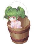  1girl bucket closed_mouth green_eyes green_hair hair_bobbles hair_ornament in_bucket in_container japanese_clothes kimono kisume long_sleeves orchid_(pixiv3730518) short_hair solo touhou transparent_background two_side_up white_kimono 