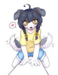  &lt;3 2021 4_fingers ahoge anthro black_hair blep blush border_collie bottomwear braided_hair braided_pigtails canid canine canis claws clothed clothing collie cotorita cutoffs denim denim_clothing digital_media_(artwork) domestic_dog female female_anthro finger_claws fingers floppy_ears fur grey_body grey_fur hair herding_dog hi_res kemono koto0v0haru looking_at_viewer mammal pastoral_dog paws pigtails sheepdog shirt shorts solo straddling t-shirt tail tail_motion tailwag tongue tongue_out topwear white_body white_fur yellow_eyes 