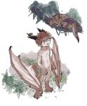  1boy animal animal_feet animal_hands bird black_horns branch brown_eyes brown_hair brown_scales brown_wings child claws creature digitigrade dragon dragon_boy dragon_horns dragon_wings full_body horns looking_at_animal looking_up low_wings male_focus monster_boy mullmull02 multiple_horns open_mouth original plant pointy_ears scales short_hair simple_background sleeping_animal slit_pupils solo standing white_background wings 