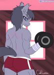  anthro biceps bronie caliluminos dumbbell equid equine exercise gym horse invalid_tag iseache male mammal muscular pony solo weights ych 