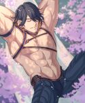  1boy abs arms_behind_head bara character_request cherry_blossoms facial_hair feet_out_of_frame from_above highres large_pectorals lying male_focus mature_male muscular muscular_male navel on_back pectorals sleeping solo spread_legs stubble thick_eyebrows topless_male touken_ranbu yaekaidou 