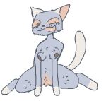  2022 animated anthro breasts clitoris domestic_cat facial_hair felid feline felis genitals guncht low_res mammal nipples pussy solo spinning trans_(lore) trans_man_(lore) 