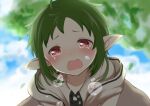  1girl cloud crying crying_with_eyes_open elf green_hair hood hooded_jacket jacket leaf mushoku_tensei outdoors pointy_ears red_eyes sky solo sylphiette_(mushoku_tensei) tears white_jacket yakata_mana 