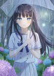  1girl black_hair blue_eyes blue_flower blue_ribbon blurry blurry_background blush buttons choppy_bangs cowboy_shot dot_nose double-breasted flower grey_sailor_collar grey_serafuku grey_shirt grey_skirt grin highres holding holding_umbrella hydrangea long_bangs looking_at_viewer neck_ribbon night open_mouth original outdoors own_hands_together pechi_(peeechika) pink_flower pleated_skirt rain raised_eyebrows ribbon sailor_collar school_uniform serafuku shirt short_sleeves skirt smile solo straight-on teeth transparent transparent_umbrella tree umbrella water_drop 