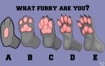  anthro canid canine comic feet feral fluffy fluffy_void foot_focus fur hi_res mammal meme pawpads paws simple_background soles text toes 