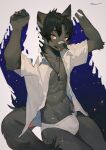  5_fingers anthro black_hair bulge canid clothed clothing fingers fur grey_body grey_fur hair hi_res looking_at_viewer male mammal milkytiger1145 open_clothing open_shirt open_topwear pubes shirt solo tail topwear underwear white_clothing 