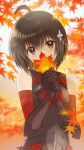  1girl ahoge armor autumn autumn_leaves bare_shoulders black_gloves black_hair blurry blurry_background blurry_foreground blush bob_cut bracer breastplate breasts commentary covering_mouth depth_of_field elbow_gloves gloves gradient_background hair_between_eyes hair_ornament head_tilt highres holding holding_leaf itai_no_wa_iya_nano_de_bougyoryoku_ni_kyokufuri_shitai_to_omoimasu koin_(foxmark) leaf looking_at_viewer maple_(bofuri) maple_leaf orange_background outdoors own_hands_together purple_eyes red_gloves short_hair shuriken_hair_ornament small_breasts solo upper_body w_arms white_background 