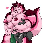  &lt;3 abs alaskan_malamute ambiguous_gender anon anthro big_muscles blush blush_lines canid canine canis cel_shading clothed clothing digital_media_(artwork) domestic_dog duo embrace english_text flexing flexing_bicep fluffy fluffy_tail fujiyama_samoyed_(artist) fur hair head_lock huge_muscles hyper hyper_muscles jockstrap jockstrap_only larger_male male mammal muscular nipples nordic_sled_dog pecs pink_body pink_fur pink_nipples pink_nose shaded simple_background size_difference smaller_male smile spitz tail text topless underwear underwear_only yanbara_(fujiyamasamoyed) 