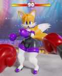  3d_(artwork) absurd_res anthro armwear boxing boxing_gloves bulge canid canine clothing digital_media_(artwork) elbow_gloves first_person_view fox glistening gloves handwear hi_res latex legwear looking_at_viewer male mammal miles_prower rouge_the_bat sega solo sonic_the_hedgehog_(series) sport tailsltx thick_thighs thigh_highs tight_clothing worried 