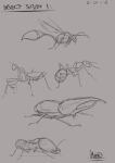  2018 6_legs absurd_res ambiguous_gender ant antennae_(anatomy) arthropod arthropod_abdomen beetle black_text blattodea dated digital_drawing_(artwork) digital_media_(artwork) english_text feral greyscale group hi_res hymenopteran insect mandibles mantis markoriginals monochrome pincers signature sketch sketch_page stag_beetle termite text wasp wings 