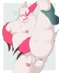  anthro anus balls belly blush butt claws disembodied_hand dragon_night800 duo embarrassed eyewear flaccid flexible fur generation_3_pokemon genitals glasses hi_res male moobs nintendo nipples overweight penis perineum pokemon pokemon_(species) raised_leg white_body white_fur zangoose 