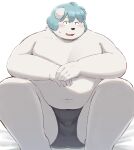  2023 anthro belly big_belly bina_(sv_grart) blue_hair blush canid canine canis clothing domestic_dog hair hi_res humanoid_hands kemono male mammal navel overweight overweight_male solo sv_grart underwear 
