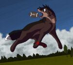  2011 aliasing ambiguous_gender ball black_body black_fur blue_sky bluekyokitty brown_body brown_eyes brown_fur canid canine canis cel_shading cloud day detailed_background digital_drawing_(artwork) digital_media_(artwork) digitigrade ears_back eye_scar facial_scar feral fur grass gridiron_ball head_tuft jumping mammal midair open_mouth outside pawpads paws pivoted_ears plant red_body red_fur red_pawpads red_tongue scar sebdoggo shaded sky solo tail teeth tongue tree tuft white_body white_fur wide_eyed wolf 