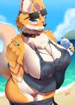  absurd_res anthro areola big_breasts blush breasts canid canine canis cecily_lin clothed clothing eyewear female fur hi_res looking_at_viewer mammal seaside solo sunglasses 