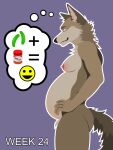  3:4 anthro areola balls belly big_belly big_nipples billybobjoey breasts butt canid canine canis coyote flat_shading fur genitals green_eyes hi_res intersex male mammal neck_tuft nipples nude outline pregnant pregnant_male progression series side_view simple_background smile smirk solo speech_bubble tail text thought_bubble tuft vector 