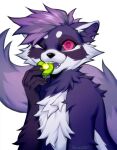  2022 anthro cheek_tuft chest_tuft dated digital_media_(artwork) eating facial_tuft falvie fluffy food_in_mouth fur hi_res looking_at_viewer mammal procyonid purple_body purple_fur raccoon signature simple_background solo tuft white_background white_body white_fur 