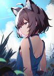  1girl absurdres ahoge alternate_costume animal_ear_fluff animal_ears arknights back black_choker blue_eyes blue_sky blue_tank_top blurry blurry_foreground brown_hair choker cloud commentary delfino extra_ears fox_ears fox_girl fox_tail grass highres light_frown looking_to_the_side outdoors plant short_hair sky solo sussurro_(arknights) tail tank_top upper_body 