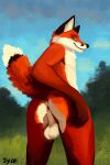  2023 absurd_res anthro anus balls biped butt canid canine digital_media_(artwork) digital_painting_(artwork) fox fur genitals hi_res looking_at_viewer looking_back male mammal nude orange_body orange_fur outside presenting presenting_anus presenting_hindquarters raised_tail rear_view red_fox smile solo sylo tail white_body white_fur 