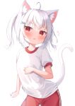  1girl ahoge animal_ear_fluff animal_ears blush cat_ears cat_girl cat_tail commentary_request cowboy_shot flat_chest flying_sweatdrops gym_shirt gym_shorts gym_uniform hair_ornament hairclip highres matchanear original parted_lips puffy_short_sleeves puffy_sleeves red_eyes red_shorts shirt short_hair short_sleeves shorts side_ponytail simple_background solo tail white_background white_hair white_shirt 