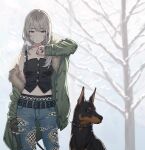  1girl arm_at_side bandaid bandaid_on_face bare_tree breasts closed_mouth denim doberman dog earclip feet_out_of_frame fishnet_pantyhose fishnets fur-trimmed_jacket fur_trim girls_band_cry green_jacket grey_eyes grey_hair hand_up highres jacket jeans kawaragi_momoka long_hair looking_at_viewer midriff official_art open_clothes open_jacket outdoors pants pantyhose red_nails shirt sleeveless sleeveless_shirt small_breasts solo standing teshima_nari torn_clothes torn_jeans torn_pants tree 