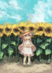  1girl aqua_sky bow brown_headwear closed_mouth commentary_request day dress dress_bow female_child field flip-flops flower flower_field hat hat_ribbon highres kezuru long_hair original outdoors own_hands_together pink_eyes pink_hair red_ribbon ribbon sandals sky sleeveless sleeveless_dress solo standing straw_hat sundress sunflower white_dress white_footwear wide_shot 
