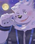  amidasuke anthro belly blue_eyes blush canid canine canis clothing domestic_dog full_moon hi_res jewelry lifewonders live_a_hero looking_at_viewer male mammal moon necklace night nordic_sled_dog overweight romantic romantic_ambiance samoyed solo spitz tired topwear vest wristband yohack zipper 