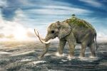  animal cloud cloudy_sky day elephant empty_eyes from_side full_body highres island male_focus ocean on_water one_piece outdoors realistic sky solo standing sunset thanawat_thepphongsri tree tusks walking water zunesha 