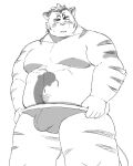  2023 anthro belly blush bulge clothing felid genital_outline hi_res hitachi_(tamacolle) humanoid_hands kemono male mammal monochrome moobs nipples overweight overweight_male pantherine penis_outline simple_background solo sv_grart tamacolle tiger underwear white_background 