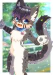  1boy :d animal_ears black-framed_eyewear black_hair blue_collar blue_eyes blue_sky blurry blurry_background collar commentary_request commission day depth_of_field fang furry furry_male glasses guard_rail heart kou_hiyoyo looking_at_viewer male_focus navel original road skeb_commission sky smile solo standing striped tail 