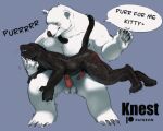  2023 animated anthro balls bear biceps blush butt butt_slap chest_tuft dialogue dominant dominant_male duo erection eyes_closed felid genitals grin hand_on_head knest leopard low_res male male/male mammal manly muscular nude on_lap over_knee pantherine pecs penis polar_bear purring red_butt simple_background slap smile spanking speech_bubble submissive submissive_male tail_around_neck triceps tuft ursine 