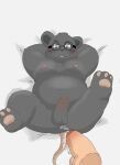  2023 anthro balls belly blush duo erection eyewear feet genitals givemepudding3 glasses grey_body hi_res kemono lying male male/male mammal moobs mouse murid murine nipples overweight overweight_male penis rodent solo_focus 
