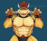  big_breasts big_penis bikini bowser bowser&#039;s_fury bowser_day breasts clothing erect_nipples furrymatioon genitals hi_res humanoid koopa male male/male mario_bros nintendo nipples pecs penis pubes scalie sex solo swimwear 