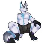  absurd_res anthro arctic_fox band_(marking) banded_tail blue_eyes blue_markings bulge canid canine clothing crouching fox grey_fox grin hi_res icarus_fox male mammal markings smile solo tail tail_markings trinity_night underwear urocyon 