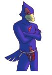  angry anthro avian beak bird black_eyes blue_body blue_feathers body_hair bulge chest_hair clothed clothing colored_seam_underwear falco_lombardi falcon falconid feathers hi_res jockstrap jockstrap_only kayadult male nintendo red_body red_clothing red_feathers red_jockstrap red_underwear simple_background solo star_fox topless underwear underwear_only white_background white_seam_jockstrap white_seam_underwear yellow_beak 