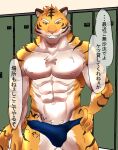  abs anthro bulge clothed clothing dialogue erection felid fur hi_res humukeaka1 japanese_text locker locker_room looking_at_viewer male mammal marbles_(pixiv) multicolored_body multicolored_fur muscular muscular_anthro muscular_male nipples open_mouth pantherine pecs shirtless solo speedo speedo_only striped_body striped_fur stripes swimwear talking_to_viewer text tiger topless white_body white_fur yellow_body yellow_fur 