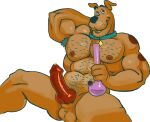  anthro armpit_hair balls birdy body_hair bong canid canine canis collar domestic_dog dripping_penis drugs erection genitals great_dane hanna-barbera hi_res knot looking_at_viewer male mammal mastiff molosser nipples penis pink_sclera scooby-doo scooby-doo_(series) solo stoned substance_intoxication 