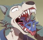  2023 5_fingers absurd_res anthro artist_name beastars blue_clothing blue_topwear bodily_fluids canid canine canis clothing digital_media_(artwork) digitigrade english_text fingers fur gradient_background hi_res imminent_vore legoshi_(beastars) mammal micro netflix nude open_mouth saliva saliva_on_tongue saliva_string sharp_teeth simple_background teeth text tommysamash topwear uvula wolf 