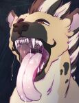  black_mane black_nose bodily_fluids brown_eyes dripping feral fur gaping_mouth glistening glistening_eyes hi_res hyena lionfloof long_tongue mammal mane mouth_shot open_mouth saliva saliva_drip saliva_on_tongue saliva_string simple_background solo spotted_neck tan_body tan_fur tongue tongue_out white_mane 