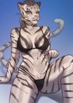  2023 anthro arm_support bikini biped black_bikini black_clothing black_stripes black_swimwear blue_background breasts cheek_tuft cleavage clothed clothing digital_media_(artwork) digital_painting_(artwork) ear_piercing facial_tuft felid female fur gradient_background green_eyes grey_hair hair hi_res katsumizi looking_at_viewer mammal markings pantherine piercing pink_inner_ear pink_nose pubes shaded simple_background sitting solo striped_body striped_fur striped_markings striped_tail stripes swimwear tail tail_markings tiger tuft white_body white_fur 