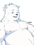  316htinfinity anthro bandage bandage_on_face belly blue_eyes canid canine canis clothed clothing domestic_dog fur hi_res lifewonders live_a_hero looking_at_viewer male mammal musclegut nipples nordic_sled_dog pecs samoyed simple_background smile solo spitz topless white_background white_body white_fur yohack 
