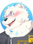  anthro bandage_on_face blue_eyes blush bust_portrait canid canine canis clothing domestic_dog fur hi_res lifewonders live_a_hero looking_at_viewer male mammal neck_tuft nexusthelife nordic_sled_dog portrait samoyed solo spitz topwear tuft vest white_body white_fur yohack zipper 