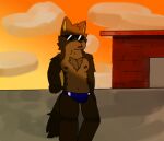  5_fingers bottomwear brown_body brown_fur canid canine canis clothed clothing domestic_dog eyewear fingers fur low_res male mammal muscular muscular_male partially_clothed pyonc shorts solo sunglasses sunset 