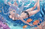  1girl animal_ear_fluff animal_ears ass bikini black_bikini blue_eyes bubble commentary_request coral eyewear_on_head feet_out_of_frame fish fox_ears frilled_bikini frills fuuro_(johnsonwade) grey_hair long_hair looking_at_viewer open_mouth original shell_hair_ornament side-tie_bikini_bottom smile solo swimsuit underwater 