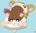  2023 69_position anus artist_logo blush brown_body brown_fur cricetid cunnilingus duo female female/female feral feral_on_feral fur genitals green_eyes hamster hamtaro_(series) hi_res logo lying mammal on_back one_eye_closed oral pashmina_(hamtaro) penelope_(hamtaro) pichu90 pink_scarf pussy rodent scarf sex tan_body tan_fur tongue tongue_out vaginal x_anus 