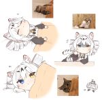  1girl animal_ear_fluff animal_ears black_sleeves black_thighhighs blue_eyes cat chibi commentary_request covering_with_blanket drill_hair heterochromia highres karenina:_ember_(deed_of_snow_leopard)_(punishing:_gray_raven) karenina:_ember_(punishing:_gray_raven) karenina_(punishing:_gray_raven) leopard_ears leopard_tail long_sleeves lying maid middle_finger multiple_persona myam_(123ab456c) photo_inset punishing:_gray_raven reference_photo shaded_face shirt tail thighhighs translation_request twin_drills white_background white_hair white_shirt yellow_eyes 